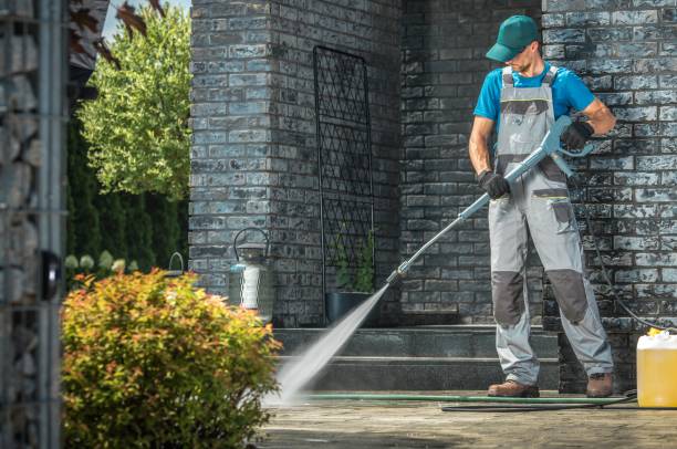 Best Soft Washing for Delicate Surfaces in Whitney, NV